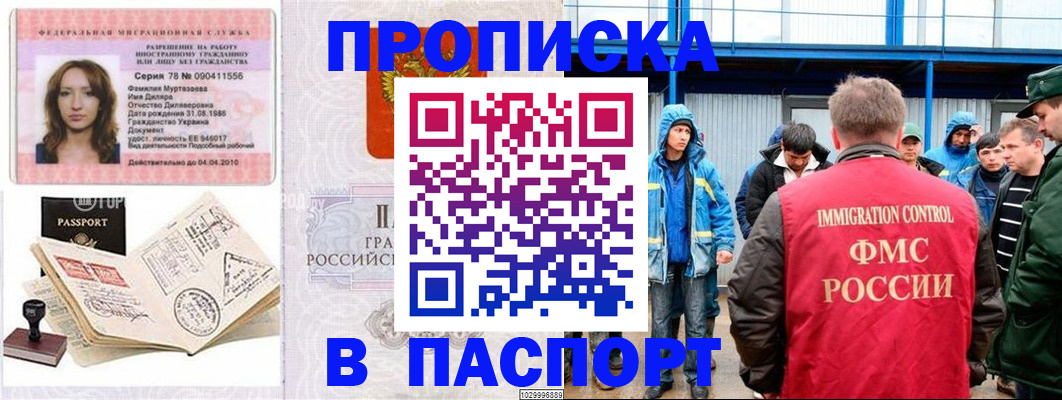 временная регистрация недорого в Кингисеппе